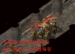 单职业传奇新服开荒?新手必备十大问题解答 单职业传奇新服开荒?新手必备十大问题解答