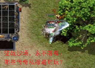 征战沙场,永不落幕:哪些传奇私服最耐玩? 征战沙场,永不落幕:哪些传奇私服最耐玩?