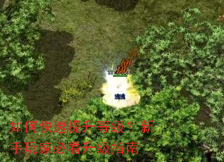 如何快速提升等级?新手玩家必看升级指南 如何快速提升等级?新手玩家必看升级指南