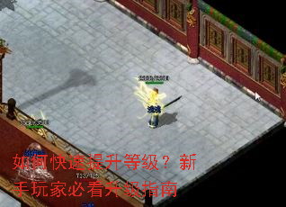 如何快速提升等级?新手玩家必看升级指南 如何快速提升等级?新手玩家必看升级指南