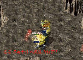 看看你属于什么类型的玩家? 看看你属于什么类型的玩家?