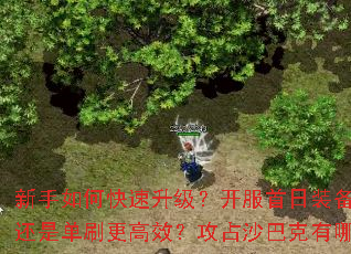 新手如何快速升级?开服首日装备怎么获取?组队还是单刷更高效?攻占沙巴克有哪些必备技巧? 新手如何快速升级?开服首日装备怎么获取?组队还是单刷更高效?攻占沙巴克有哪些必备技巧?