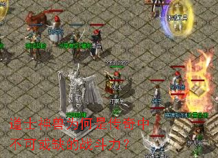��ʿ����Ϊ���Ǵ����в��ɻ�ȱ��ս������