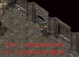传奇新手如何快速提升战斗力?高手亲授叱咤沙场秘诀 传奇新手如何快速提升战斗力?高手亲授叱咤沙场秘诀