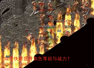 ��ο���������ɫ�ȼ���ս����