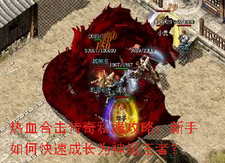 热血合击传奇私服攻略:新手如何快速成长为神级王者? 热血合击传奇私服攻略:新手如何快速成长为神级王者?