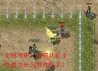 龙腾传奇:如何从新手快速成长为游戏高手? 龙腾传奇:如何从新手快速成长为游戏高手?