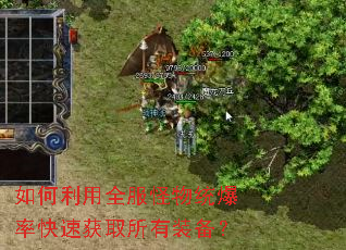 如何利用全服怪物统爆率快速获取所有装备? 如何利用全服怪物统爆率快速获取所有装备?