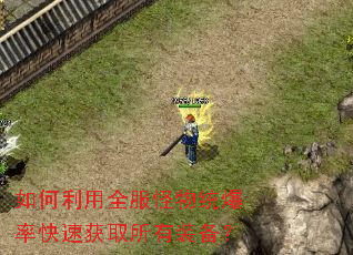 如何利用全服怪物统爆率快速获取所有装备? 如何利用全服怪物统爆率快速获取所有装备?