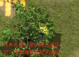 传奇私服打金如何快速提现?海量福利秘笈全解析 传奇私服打金如何快速提现?海量福利秘笈全解析