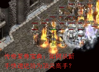 传奇至尊宝典:如何从新手快速进阶为顶尖高手? 传奇至尊宝典:如何从新手快速进阶为顶尖高手?