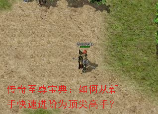 传奇至尊宝典:如何从新手快速进阶为顶尖高手? 传奇至尊宝典:如何从新手快速进阶为顶尖高手?
