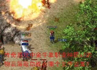 传奇游戏中金牛单职业神图sf的物品屏蔽功能在哪个文件设置? 传奇游戏中金牛单职业神图sf的物品屏蔽功能在哪个文件设置?
