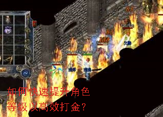 如何快速提升角色等级以高效打金? 如何快速提升角色等级以高效打金?