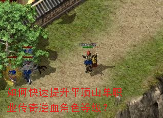 如何快速提升平顶山单职业传奇逆血角色等级? 如何快速提升平顶山单职业传奇逆血角色等级?