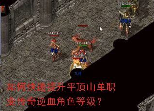 如何快速提升平顶山单职业传奇逆血角色等级? 如何快速提升平顶山单职业传奇逆血角色等级?