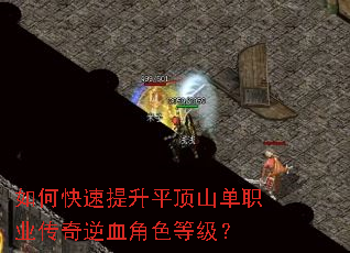 如何快速提升平顶山单职业传奇逆血角色等级? 如何快速提升平顶山单职业传奇逆血角色等级?