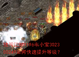 独闯江湖9196韦小宝302300249如何快速提升等级? 独闯江湖9196韦小宝302300249如何快速提升等级?