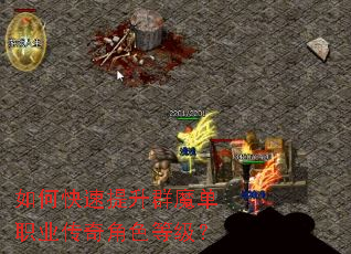 如何快速提升群魔单职业传奇角色等级? 如何快速提升群魔单职业传奇角色等级?