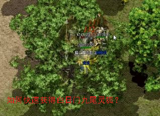 如何快速获得白日门九尾灵狐? 如何快速获得白日门九尾灵狐?