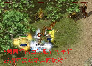 5载同行热血沸腾?传奇新服周年庆攻略如何玩转? 5载同行热血沸腾?传奇新服周年庆攻略如何玩转?