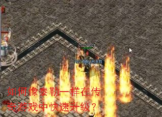 如何像泰勒一样在传奇游戏中快速升级? 如何像泰勒一样在传奇游戏中快速升级?