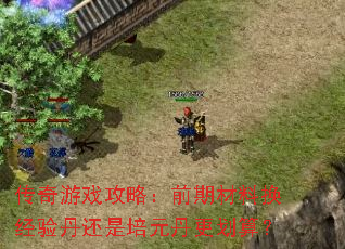 传奇游戏攻略:前期材料换经验丹还是培元丹更划算? 传奇游戏攻略:前期材料换经验丹还是培元丹更划算?