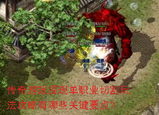 传奇游戏提现单职业切割玩法攻略有哪些关键要点? 传奇游戏提现单职业切割玩法攻略有哪些关键要点?