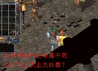 如何挑战行会专属不死神王与五大上古凶兽? 如何挑战行会专属不死神王与五大上古凶兽?