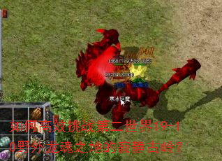 如何高效挑战第二世界19-10野外龙魂之地的寂静古岭? 如何高效挑战第二世界19-10野外龙魂之地的寂静古岭?
