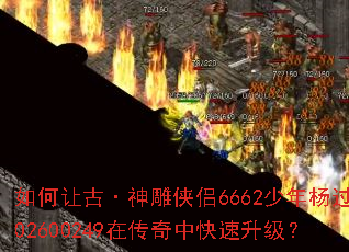 ����ùš��������6662�������302600249�ڴ����п���������