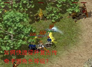 如何快速提升复古传奇手游角色等级? 如何快速提升复古传奇手游角色等级?