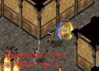 如何快速在散人传奇新服中赚取大量金币? 如何快速在散人传奇新服中赚取大量金币?