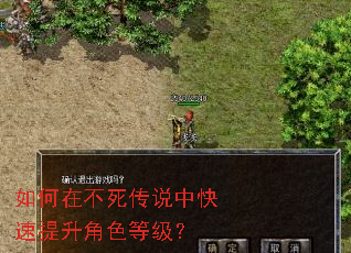 如何在不死传说中快速提升角色等级? 如何在不死传说中快速提升角色等级?