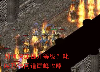 如何快速提升等级?叱咤玛法问道巅峰攻略 如何快速提升等级?叱咤玛法问道巅峰攻略