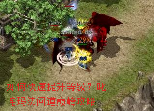 如何快速提升等级?叱咤玛法问道巅峰攻略 如何快速提升等级?叱咤玛法问道巅峰攻略