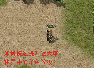 如何快速提升遮天唯我界中的角色等级? 如何快速提升遮天唯我界中的角色等级?