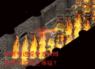 如何快速提升遮天唯我界中的角色等级? 如何快速提升遮天唯我界中的角色等级?