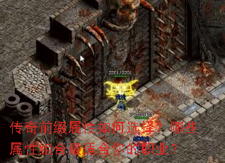 ����ǰ׺�������ѡ����Щ����������ʺ����ְҵ��