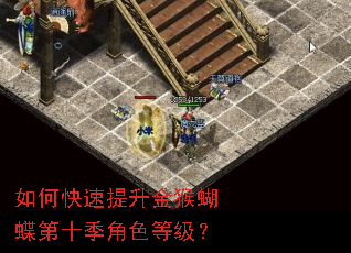 如何快速提升金猴蝴蝶第十季角色等级? 如何快速提升金猴蝴蝶第十季角色等级?