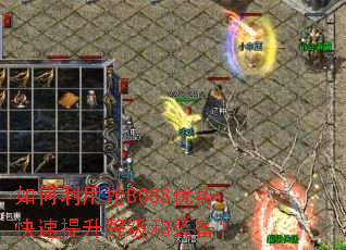 ���������BOSS���ƿ��������ȼ���װ����