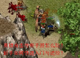 Ӣ�ۺϻ�����������ô�棿������ο�����������ף�