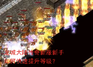 龙城大陆传奇新服新手如何快速提升等级? 龙城大陆传奇新服新手如何快速提升等级?