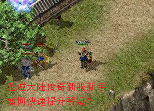 龙城大陆传奇新服新手如何快速提升等级? 龙城大陆传奇新服新手如何快速提升等级?