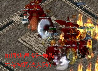 如何快速提升等级并称霸玛法大陆? 如何快速提升等级并称霸玛法大陆?