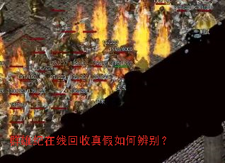 Ⱥ�ۼ����߻��������α��