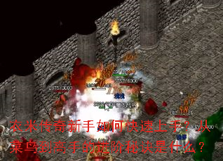 衣米传奇新手如何快速上手?从菜鸟到高手的进阶秘诀是什么? 衣米传奇新手如何快速上手?从菜鸟到高手的进阶秘诀是什么?