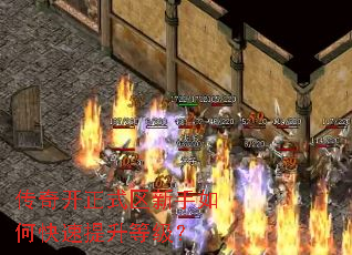 传奇开正式区新手如何快速提升等级? 传奇开正式区新手如何快速提升等级?