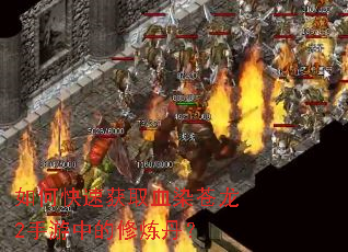 如何快速获取血染苍龙2手游中的修炼丹? 如何快速获取血染苍龙2手游中的修炼丹?