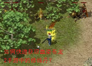 如何快速获取血染苍龙2手游中的修炼丹? 如何快速获取血染苍龙2手游中的修炼丹?